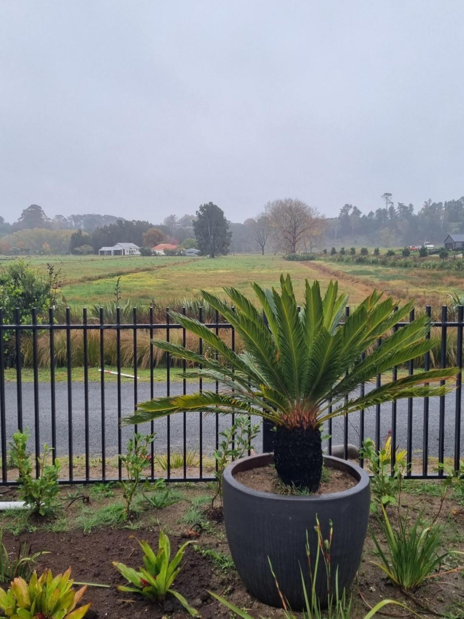 Bach22 Rustic Romantic Getaway Te Puna Exterior foto